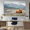 Highland Cow Horn Farm Wall Art Canvas Print