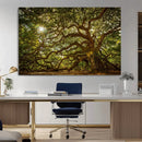 Ancient Angel Oak Tree Art Sunburst Canvas Print-