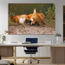 Sleeping Fox Wall Art Canvas Print, Farmhouse Wall Decor and by MyGreatCanvas | Canvas Wall Art Prints | Photo Prints & Wall Decor