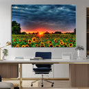 Golden Sunflower Field at Sunset – Breathtaking Sky and