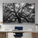 Black and White Old Angel Oak Tree Wall Art Canvas Print