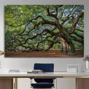 Historic Tree Wall Art – Framed Mossy Branch Canvas Artwork, by MyGreatCanvas | Canvas Wall Art Prints | Photo Prints & Wall Decor