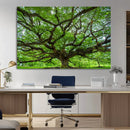 Ancient Tree Wall Art Canvas Print, Framed Sprawling by MyGreatCanvas | Canvas Wall Art Prints | Photo Prints & Wall Decor