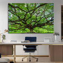 Angel Oak Tree Wall Art Canvas Print – Framed Majestic