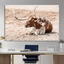 Texas Longhorn Wall Art Canvas Print – Framed Resting Bull by MyGreatCanvas | Canvas Wall Art Prints | Photo Prints & Wall Decor