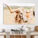 Texas Longhorn Wall Art Canvas Print – Framed Speckled Cow