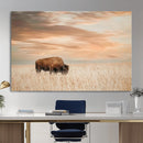 MyCanvas -