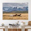 Grand Teton Park Wild Horses Wall Art Canvas Print – Framed