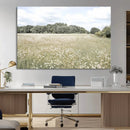 Charming Daisy Field Wall Art Canvas Print – Framed Pastel