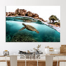 Sea Turtle Wall Art Canvas Print – Framed Ocean Life