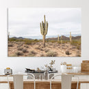 Saguaro Cactus Wall Art Canvas Print – Framed Desert