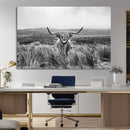Monochrome Highland Cow Wall Art Canvas Print – Framed by MyGreatCanvas | Canvas Wall Art Prints | Photo Prints & Wall Decor