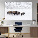 Bison Herd Decor Wall Art Canvas Print – Framed Snowy Bison by MyGreatCanvas | Canvas Wall Art Prints | Photo Prints & Wall Decor