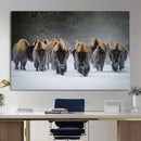 Bison Herd Wall Art Canvas Print, Framed Rustic Wildlife by MyGreatCanvas | Canvas Wall Art Prints | Photo Prints & Wall Decor