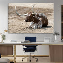 Texas Longhorn Wall Art Canvas Print – Framed Country Living