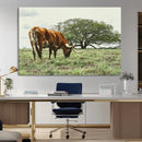 Texas Longhorn Wall Art Canvas Print – Framed Rustic Ranch by MyGreatCanvas | Canvas Wall Art Prints | Photo Prints & Wall Decor