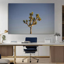 Joshua Tree Wall Art Canvas Print – Framed Southwestern by MyGreatCanvas | Canvas Wall Art Prints | Photo Prints & Wall Decor