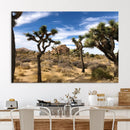 Joshua Tree Desert Wall Art Canvas Print – Framed