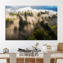 Tranquil Forest Scene Wall Art Canvas Print – Framed Moody