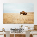 Buffalo Wall Art Canvas Print – Framed Western Wildlife