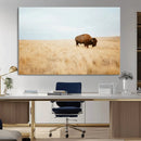 Buffalo Wall Art Canvas Print – Framed Western Wildlife by MyGreatCanvas | Canvas Wall Art Prints | Photo Prints & Wall Decor
