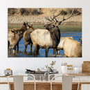 Wild Elk Wall Art Canvas Print – Framed Neutral Wildlife