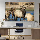 Wild Elk Wall Art Canvas Print – Framed Neutral Wildlife by MyGreatCanvas | Canvas Wall Art Prints | Photo Prints & Wall Decor