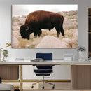Western Wildlife Wall Art Canvas Print, Majestic Wilderness by MyGreatCanvas | Canvas Wall Art Prints | Photo Prints & Wall Decor