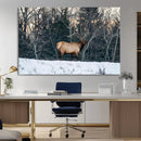 Wild Elk Wall Art Canvas Print – Framed Winter Wildlife by MyGreatCanvas | Canvas Wall Art Prints | Photo Prints & Wall Decor