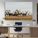 Elk Herd Wall Art Canvas Print – Framed Wildlife Photography