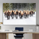 American Bison Herd Wall Art Canvas Print – Powerful Winter by MyGreatCanvas | Canvas Wall Art Prints | Photo Prints & Wall Decor