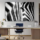 Zebra Stripes Wall Art Canvas Print – Black White Contrast by MyGreatCanvas | Canvas Wall Art Prints | Photo Prints & Wall Decor