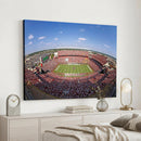 William Brice Stadium Wall Art Canvas Print – Stadium Crowd