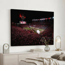 William Brice Stadium Wall Art Print – Baseball Game Room