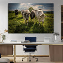 Grazing Cattle Herd Wall Art Canvas Print, Majestic Farm by MyGreatCanvas | Canvas Wall Art Prints | Photo Prints & Wall Decor