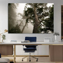 Misty Forest Wall Art Canvas Print, Tall Trees and Foggy by MyGreatCanvas | Canvas Wall Art Prints | Photo Prints & Wall Decor
