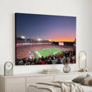 Dooley Stadium Wall Art, Sports Arena Canvas Print, Dooley