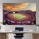 Dooley Stadium Wall Art, Sports Arena Canvas Print, Dooley by MyGreatCanvas | Canvas Wall Art Prints | Photo Prints & Wall Decor