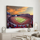 Dooley Stadium Wall Art, Sports Arena Canvas Print, Dooley
