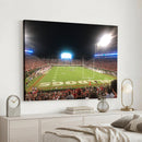 Dooley Stadium Wall Art, Sports Arena Panoramic Canvas