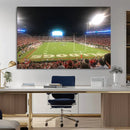 Dooley Stadium Wall Art, Sports Arena Panoramic Canvas by MyGreatCanvas | Canvas Wall Art Prints | Photo Prints & Wall Decor
