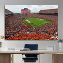 Auburn Stadium Wall Art Canvas Print, Jordan Hare Stadium by MyGreatCanvas | Canvas Wall Art Prints | Photo Prints & Wall Decor