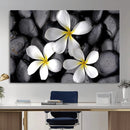Plumeria Frangipani Black Stone Canvas | White Flower Spa by MyGreatCanvas | Canvas Wall Art Prints | Photo Prints & Wall Decor