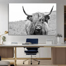 Newfoundland Cow Art Wall Art, Black White Cow Art Wall Art