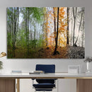 Four Seasons Wall Art Forest Canvas Print – Triptych