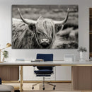 Cow Focus Canvas Wall Art Print by MyGreatCanvas | Canvas Wall Art Prints | Photo Prints & Wall Decor