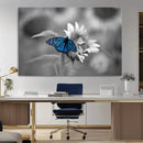 Blue Butterfly Black and White Canvas Wall Art by MyGreatCanvas | Canvas Wall Art Prints | Photo Prints & Wall Decor