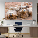 Lion Pair Wall Art Canvas Print – Framed Wildlife Scene with