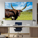 Longhorn and Cow Wall Art, Country Cow Wall Decor Canvas by MyGreatCanvas | Canvas Wall Art Prints | Photo Prints & Wall Decor