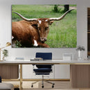 Longhorn Steer Canvas Wall Art – Rustic Nature Triptych